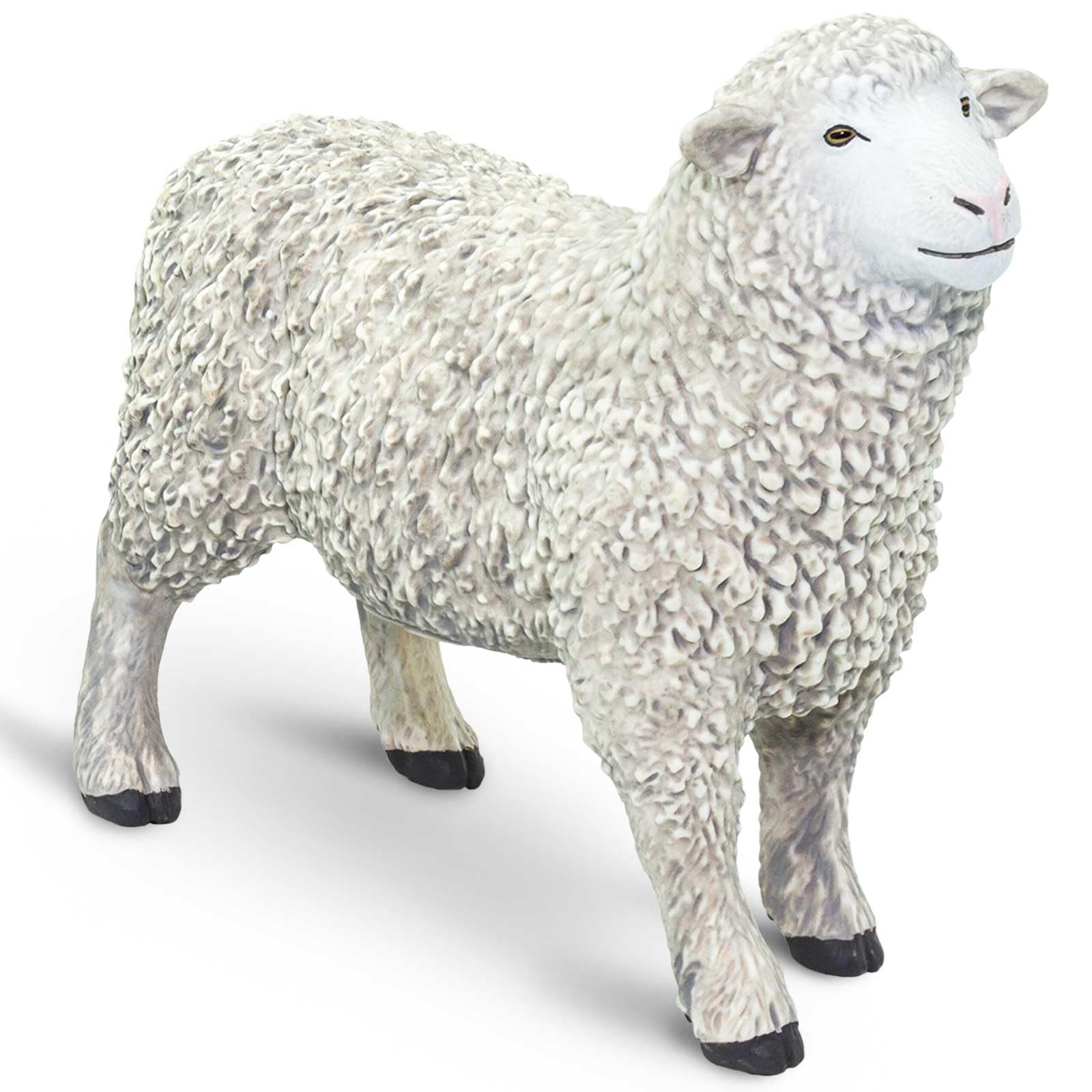 sheep Amazon.com: Safari Ltd. Sheep Figurine - Lifelike 3.25